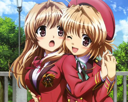 446252 (a): :2560x2048